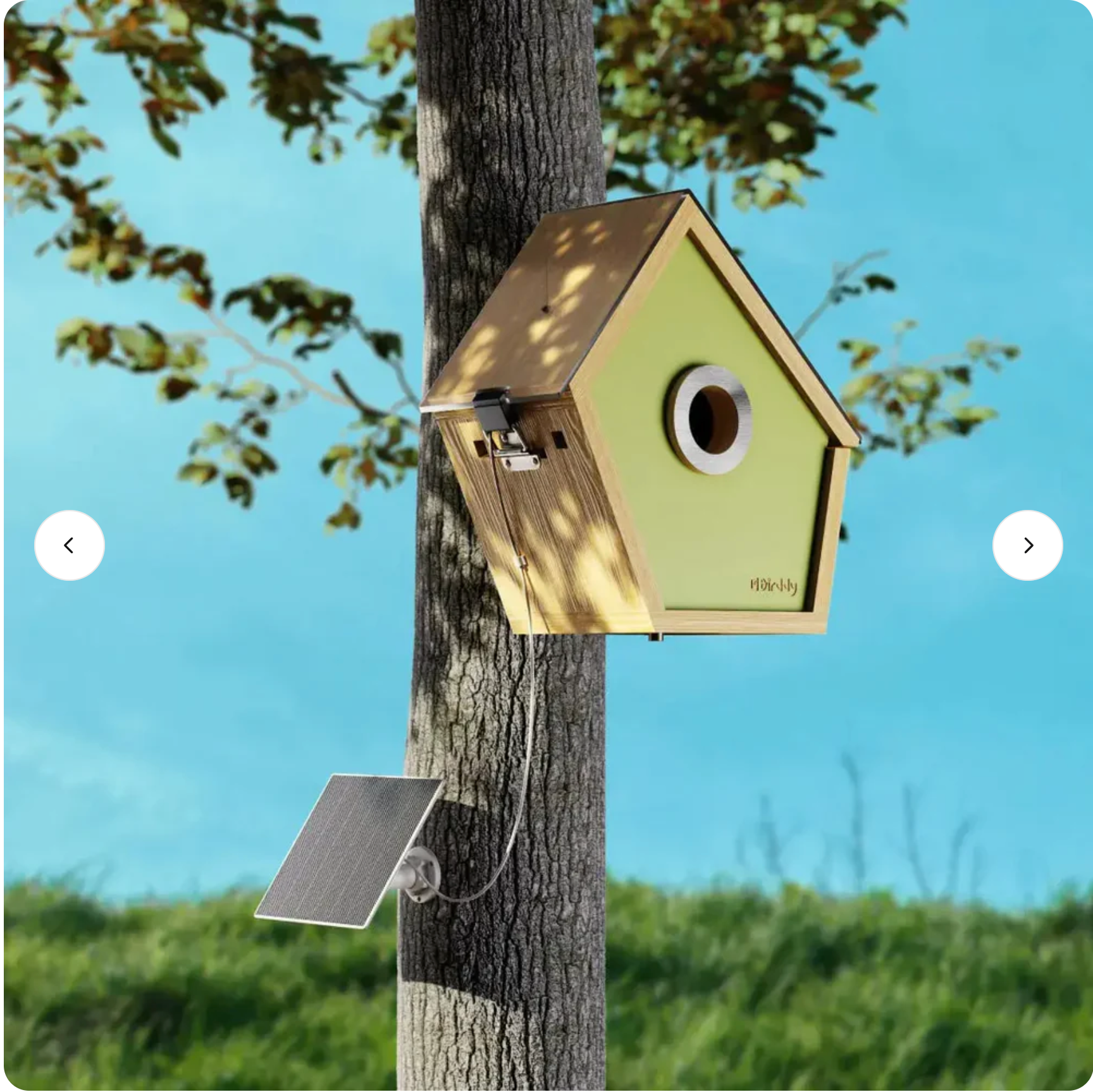 Smart Bird House
