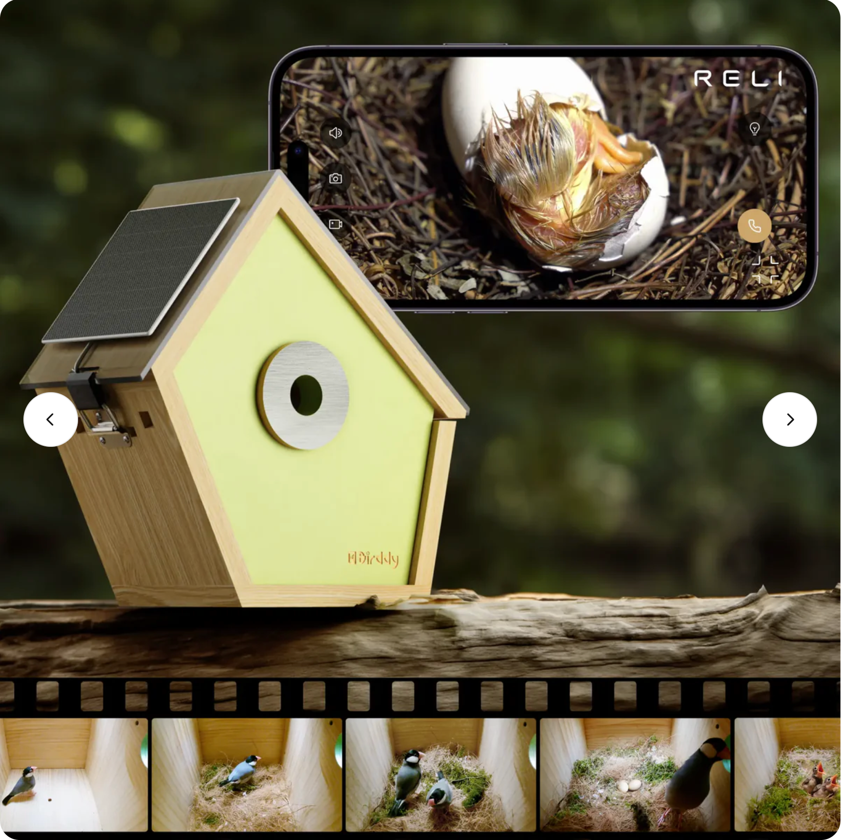 Smart Bird House